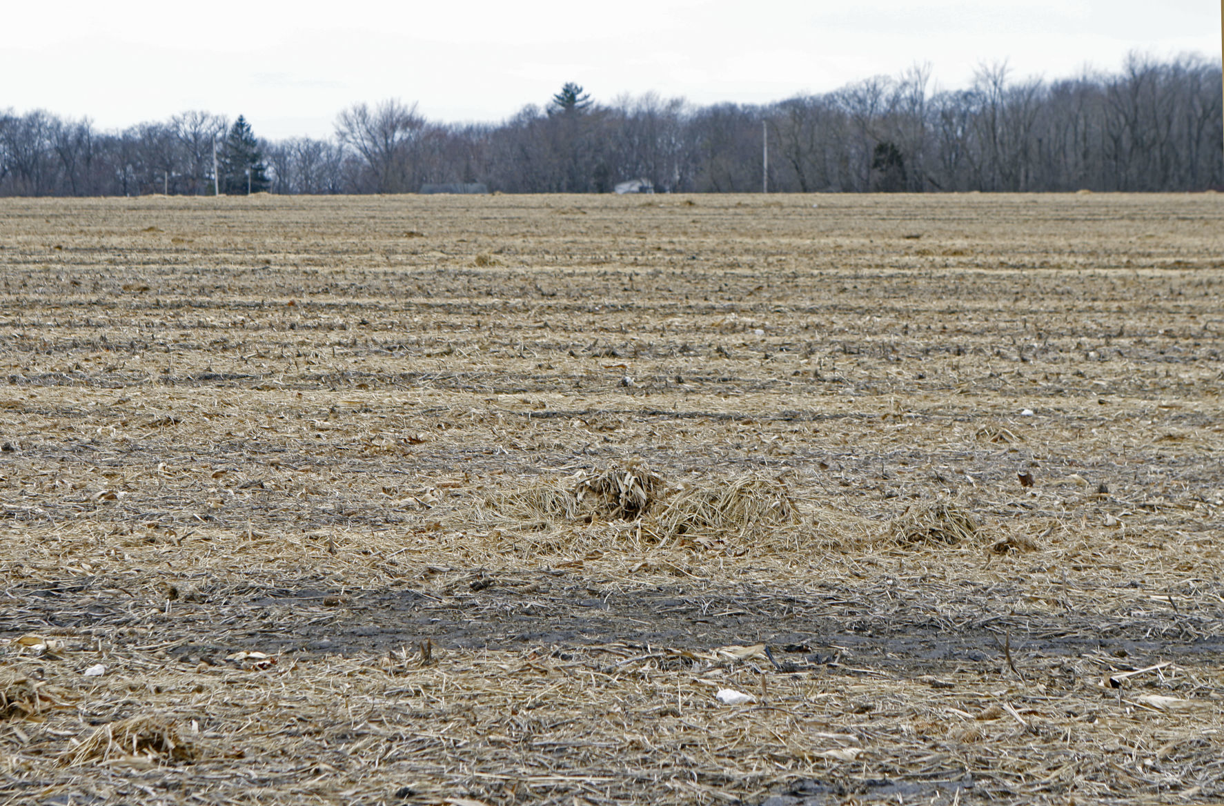 Crown Point field